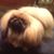 Jeff Lockard's profile image