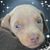 Joie Robbins's profile image