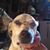 Beth Eddy's profile image