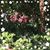 Ann P. Moyer's profile image