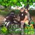 Maria J Torres's profile image
