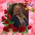 Suzy Grindle's profile image