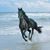 Cynthia Jane Willoughby's profile image