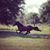 Susan Marie' Cooper's profile image