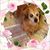 Becky Sindermann's profile image