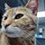 Amy Fry-Gordon's profile image