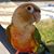 Donna Zaleski Listopad's profile image