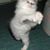 Lilly Raine's profile image
