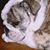 Kay Bunchoti's profile image