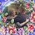 Stacy Smith Hoover's profile image
