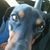 Sam Ray Tignor's profile image