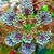 Amy Needham's profile image