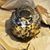 Sharon E. Rainey's profile image