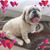 Tammy Whalen's profile image