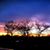 Leslie Mather's profile image