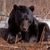 Heather Moussette's profile image