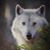 Barbara Schultz's profile image