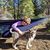 Heidi Van Noy Marker's profile image