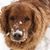 Brooke Bvg's profile image