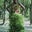 Charrise McWhorter's profile image