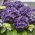 Lisa H Corbett's profile image