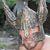 Damir Pejak's profile image