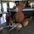 Melissa Miller's profile image