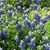 Sherri Biehl's profile image