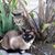 Edith Maribel Munoz's profile image