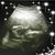 Trish Carroll's profile image