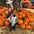 Victoria Celaya Fernandez's profile image