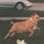 Gloria Keller Guise's profile image