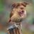 Lee Miller's profile image