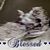 Debbie Courtney-Satterfield's profile image