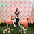Abbey Alfonso's profile image