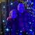 Tami Blake Meyer's profile image