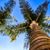 Gayle Van De Maat's profile image