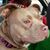 Hector L. Rosa's profile image