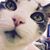 Katie Toelle's profile image