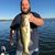 Brent Dorris's profile image
