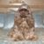 Teena Rucker's profile image