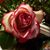 Pam Patton's profile image