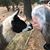 Diane Karraker Sigler's profile image