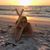 Heather Hansen's profile image