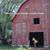 Pam Gifford Phelps's profile image