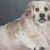 Sybil Clow's profile image