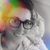 Stephanie Wilson's profile image