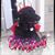 Linda Eppler's profile image