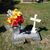 Loree Ann Dowty McDaniel's profile image