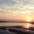 Sue Hatling's profile image